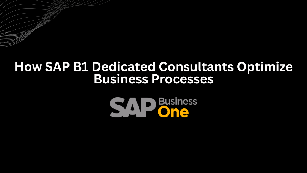 How SAP B1 Dedicated Consultants Optimize Business Processes - 3techno